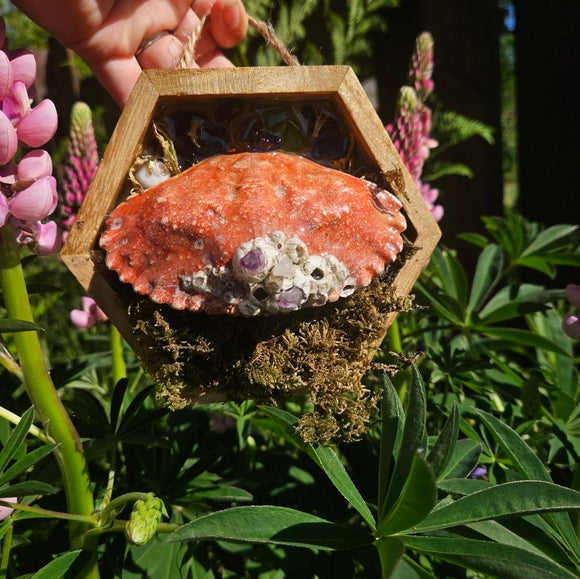CRYSTAL crab hanger✨️🦀Oddities collection