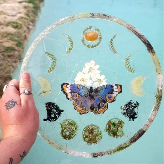 Citrine crystal butterfly/snake shed moon cycle tray🦋