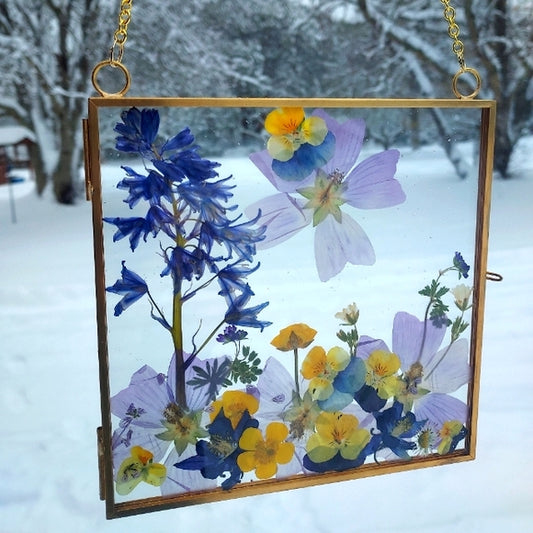 🌸🌼Cosmo pansy daydreams🌼🌸Real pressed flower art decor🧚‍♀️