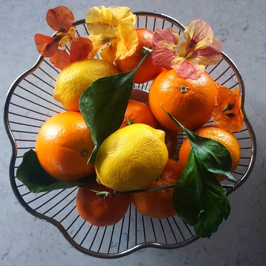 BEAUTIFUL retro fruit basket!!🍊🍋